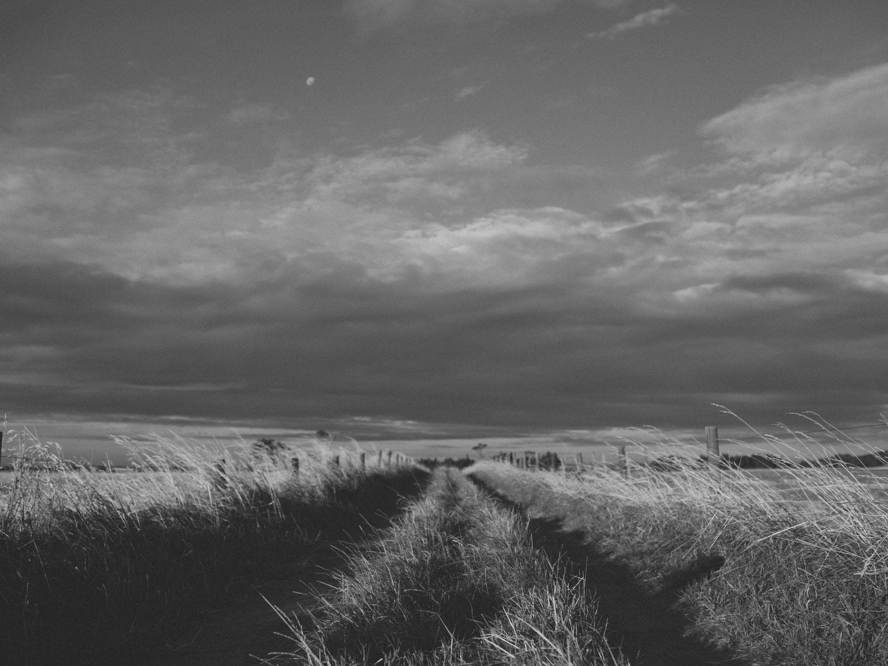 Rylee Ellen Photography hero photograph