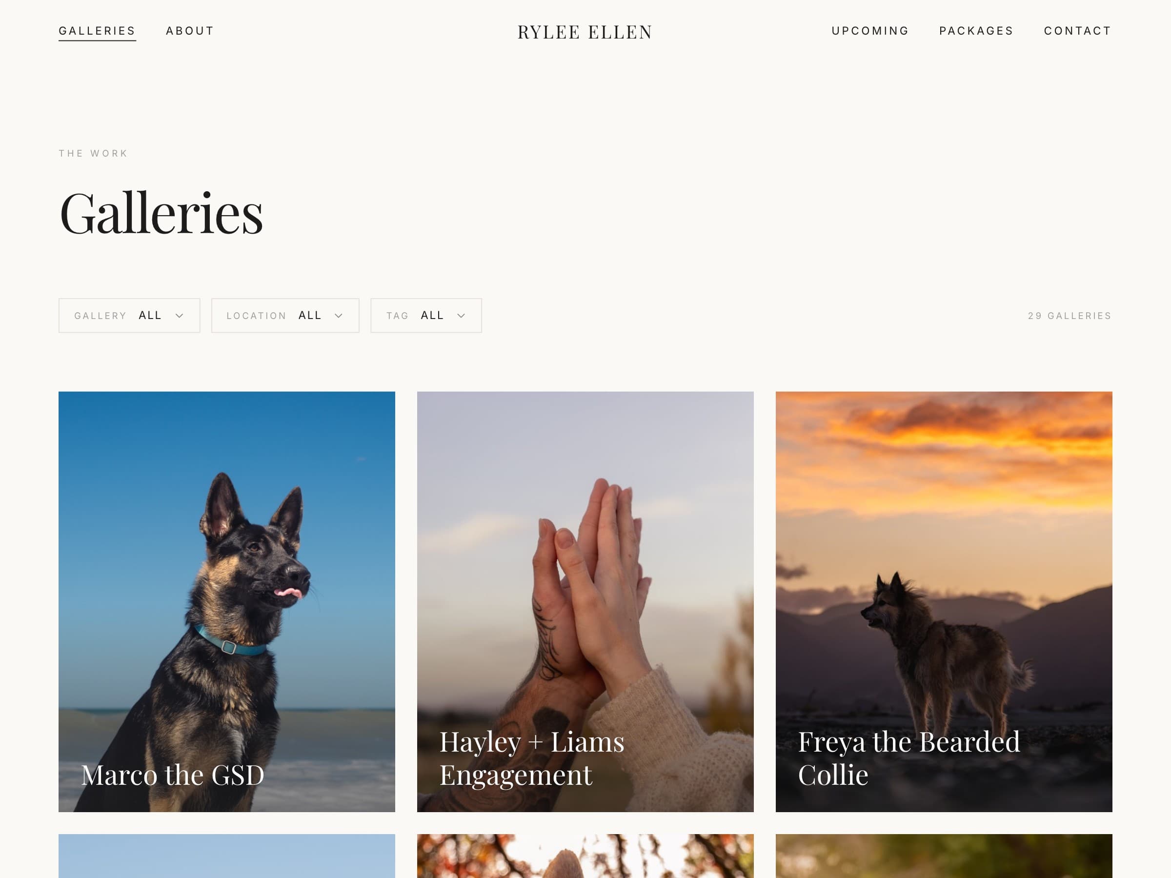 The galleries page: 29 galleries behind gallery, location and tag filters, opening on Marco the GSD, Hayley + Liams Engagement and Freya the Bearded Collie.